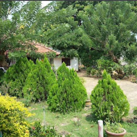 Sun & Sand Guest House Mullaittivu Exterior photo