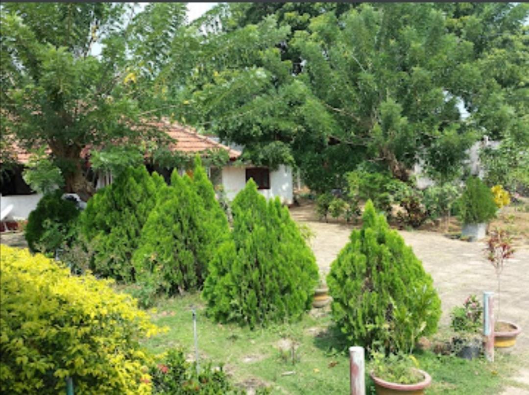 Sun & Sand Guest House Mullaittivu Exterior photo